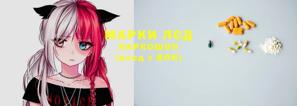 крисы Мегион